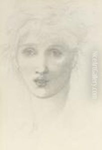 Study Of A Female Head Study Of A Female Head