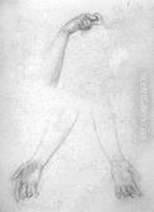 Study Of Hands