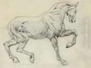 Ecorche Figure Of A Horse by Sir Edward Coley Burne-Jones
