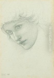 Study Of A Head