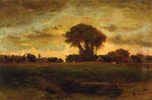 Sunset On A Meadow