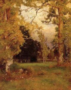 Late Afternoon