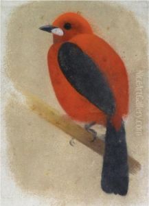 Red Bird by Simon Albert Bussy