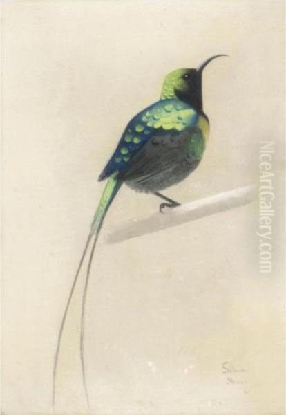 Sunbird - view 1
