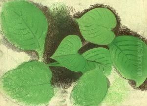 Feuilles Plus Grandes Feuilles Plus Grandes