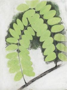 Acacia Branch