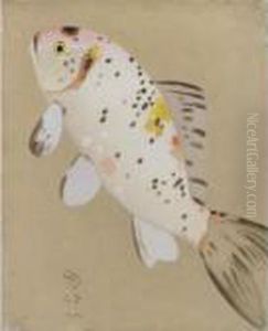 Poisson Rose Et Tache Poisson Rose Et Tache