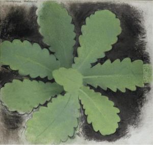 Wulfenia Baldacci Wulfenia Baldacci