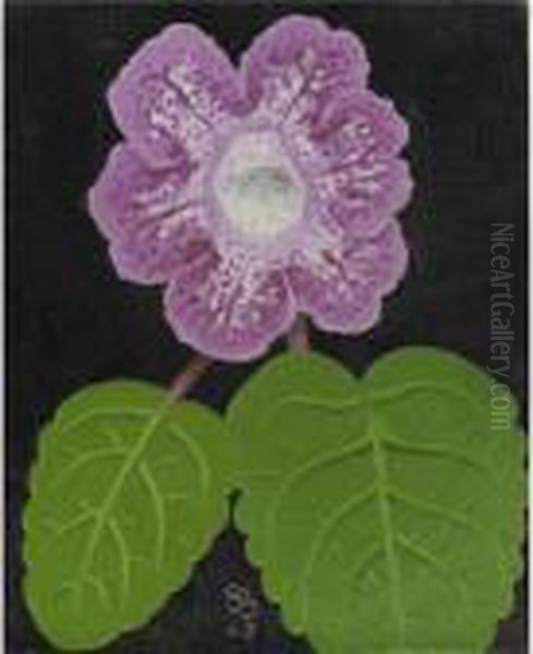 Gloxinia - view 1