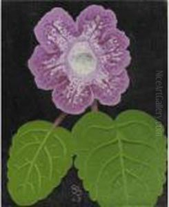 Gloxinia Gloxinia