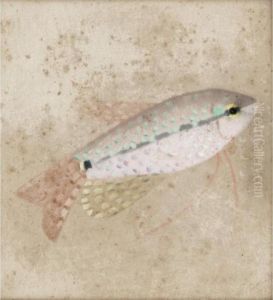 Gurami Fish by Simon Albert Bussy