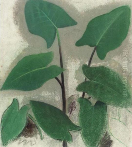 Primula Leaves - view 1