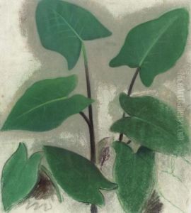Primula Leaves Primula Leaves