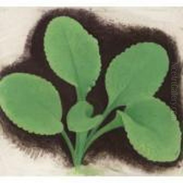 Green Plant - view 1