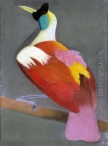 Paradisier