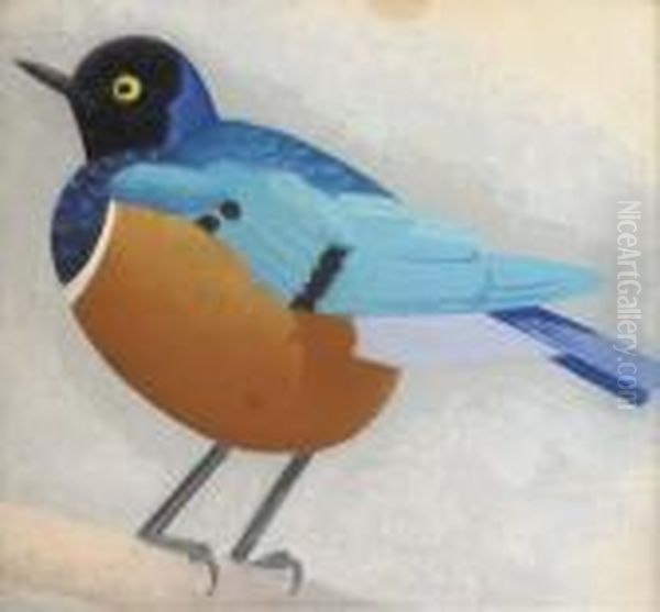 Blue Starling - view 1