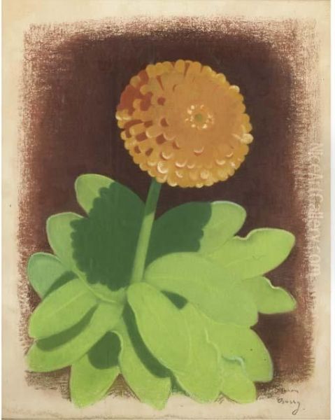 Marigold - view 1