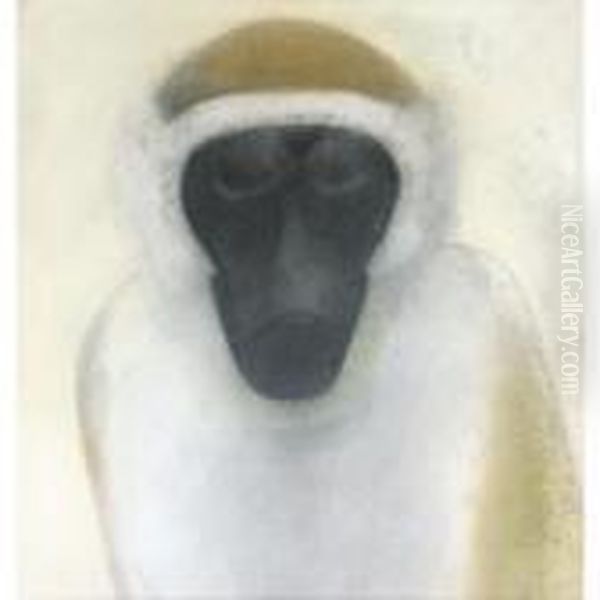 Baboon - view 1