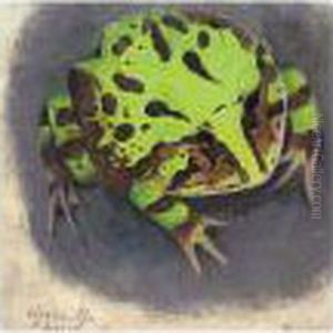 Grenouille