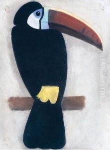 Toco Toucan; Toucan by Simon Albert Bussy