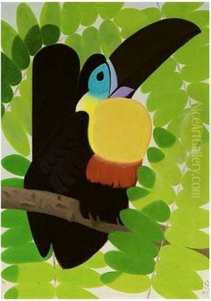 Toucan - view 1