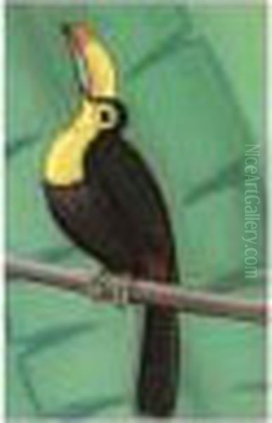 Toucan - view 1
