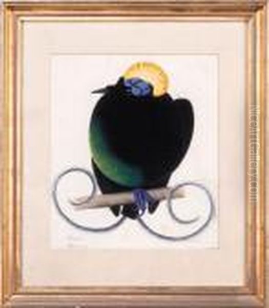 A Yellow-crested Black Bird Of Paradise - view 1