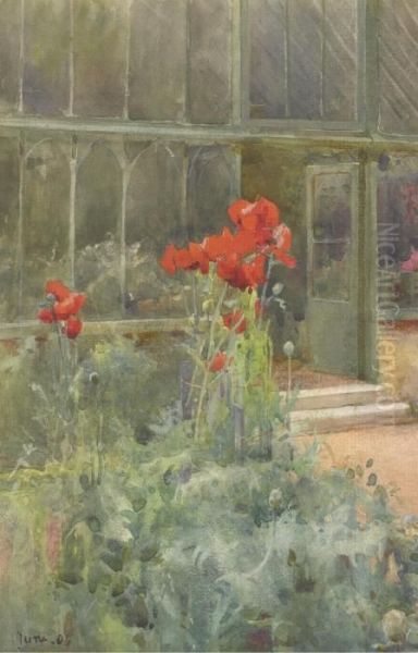 Foxgloves; Poppies - view 1