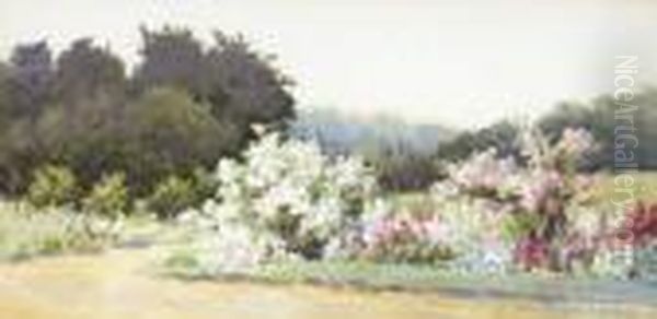 Kilmurry Garden - view 1