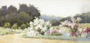 Kilmurry Garden by Mildred Anne Butler