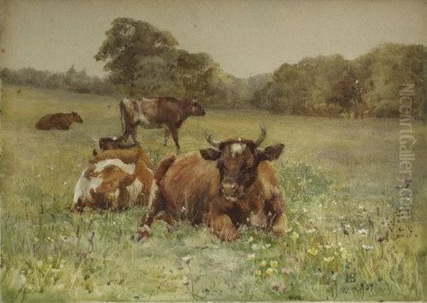 Cattle Grazing In A Meadow, Kilmurry - view 1