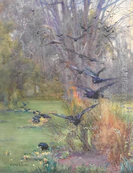 Crows - view 1