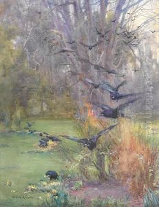 Crows