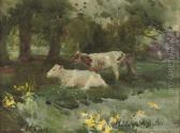 Cattle In The Shade, Kilmurray - view 1