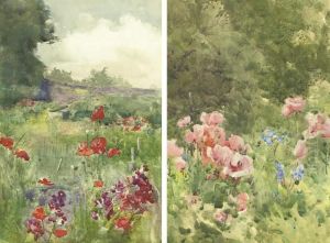 View Across A Wild Garden; And In Flower