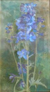 Delphinium