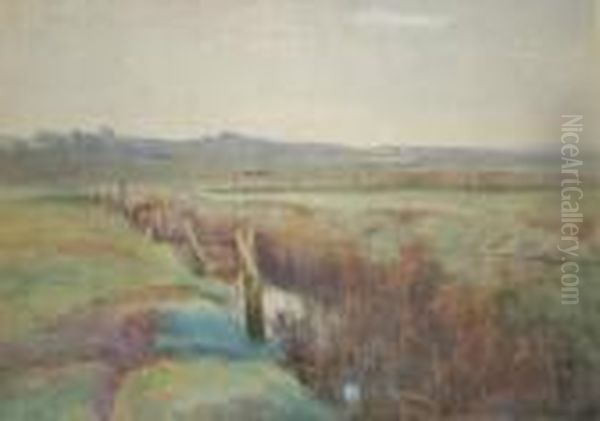 View Over A Bog - view 1