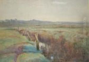 View Over A Bog