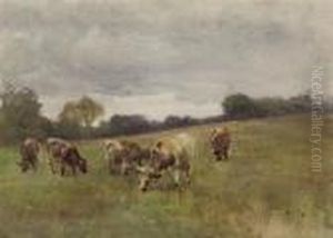 Cattle Grazing, Kilmurry
