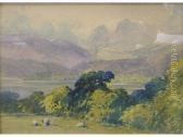 Irishlandscape Of Hills And Lake, Sheep In Foreground - view 1
