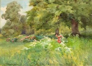 Gardens At Kilmurry