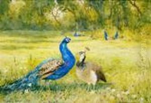 Peacocks At Kilmurry by Mildred Anne Butler