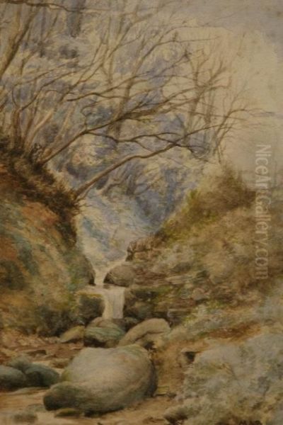 Waterfall, Kilkenny - view 1
