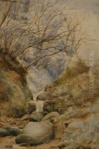Waterfall, Kilkenny