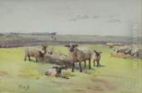 April Sheep In A Fold - view 1