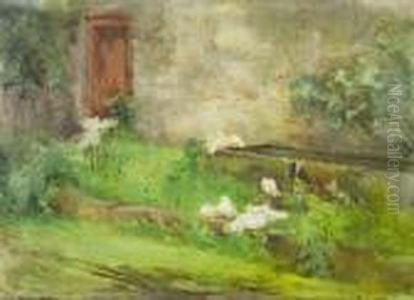 Doves At The Water Trough, Kilmurry - view 1