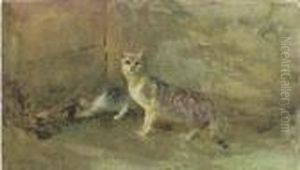 Two Cats, Kilmurry