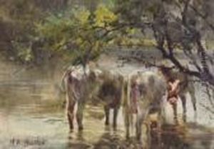 Cattle Watering In The Shade