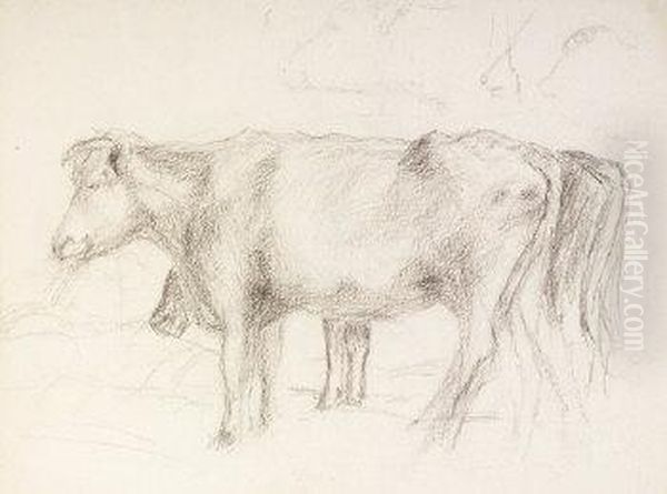 Study Of Cattle - view 1