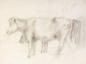 Study Of Cattle Study Of Cattle